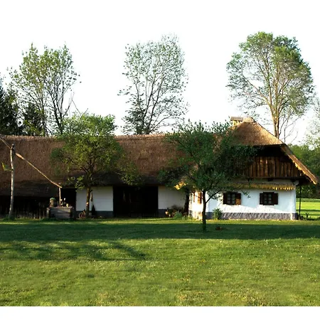 Kalascontemporary *